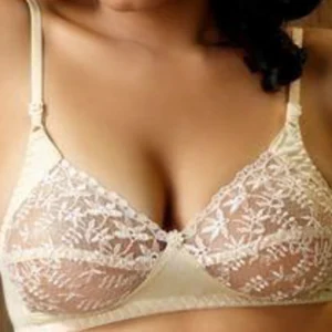 Intimate Bra 500A